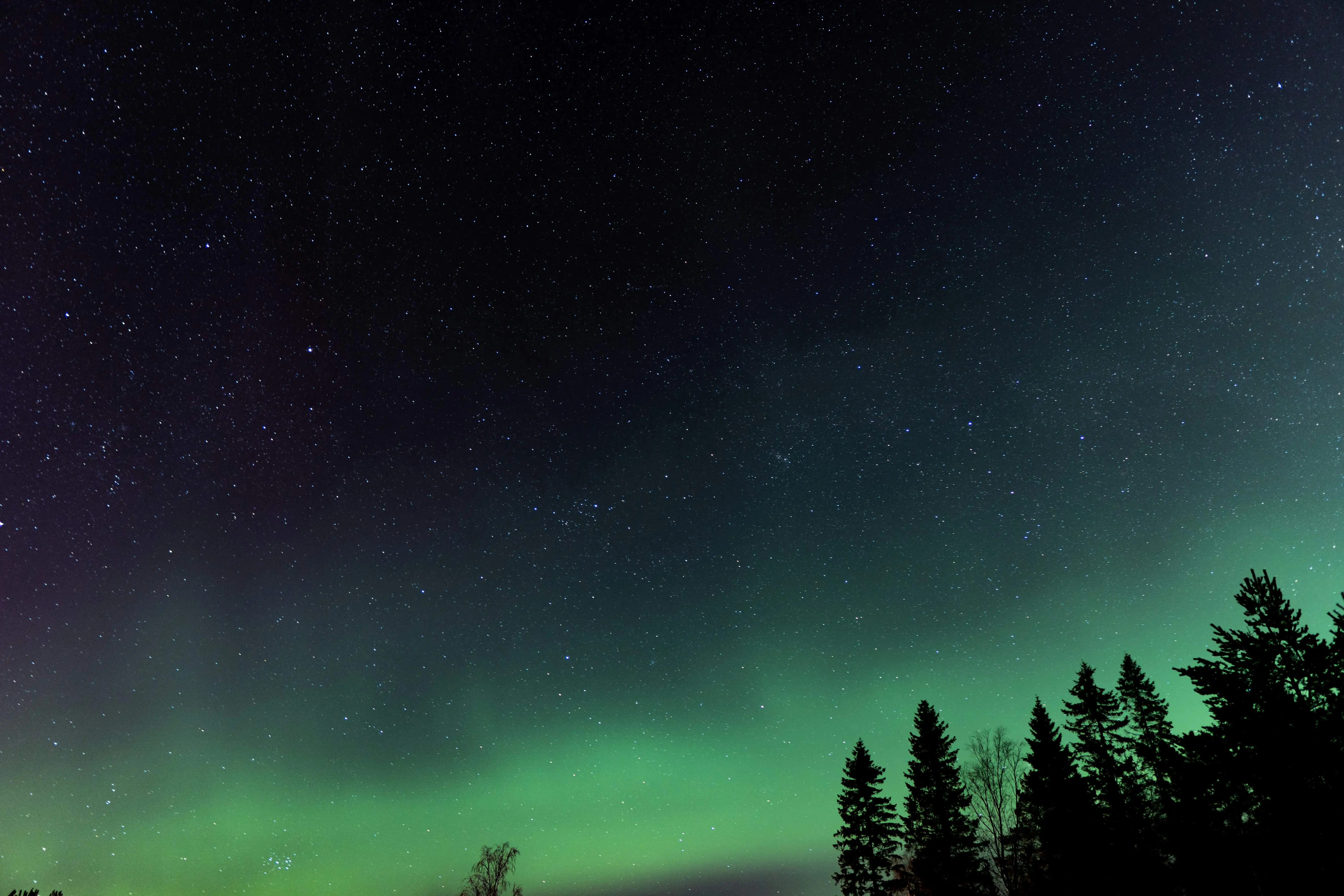Northern lights over a dark night sky